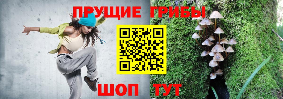 Галлюциногенные грибы прущие грибы Рославль