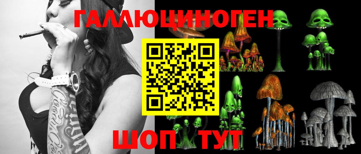 Псилоцибиновые грибы GOLDEN TEACHER  Вход с VPN  Рославль  Галлюциногенные грибы мухоморы 