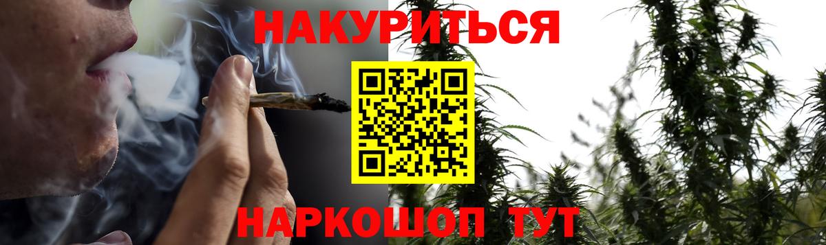 Конопля Bruce Banner  Вход с VPN  Канабис планчик  Рославль  Каннабис VHQ  Бошки Шишки Amnesia 
